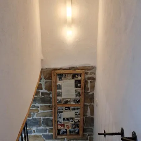 Istrian Stone House Zizola Appartamento Hrvatini