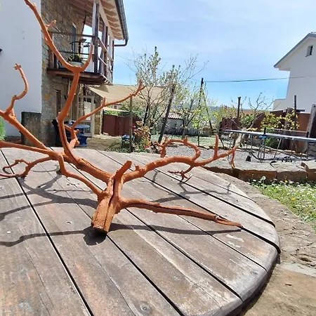 Istrian Stone House Zizola Appartamento Hrvatini