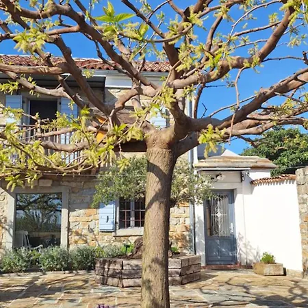 アパート Istrian Stone House Zizola