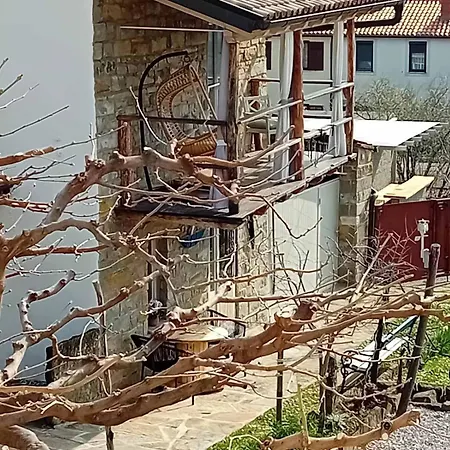 Apartament Istrian Stone House Zizola