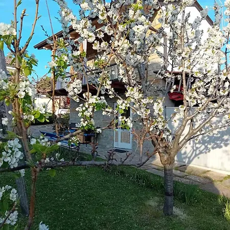 Istrian Stone House Zizola * Hrvatini