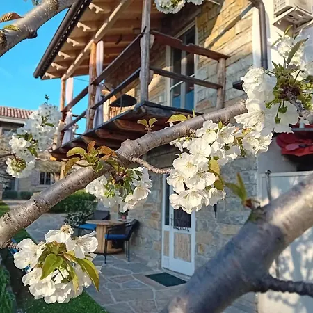 شقة Istrian Stone House Zizola