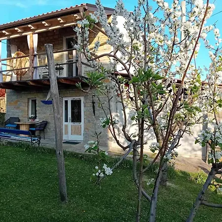 Istrian Stone House Zizola شقة *