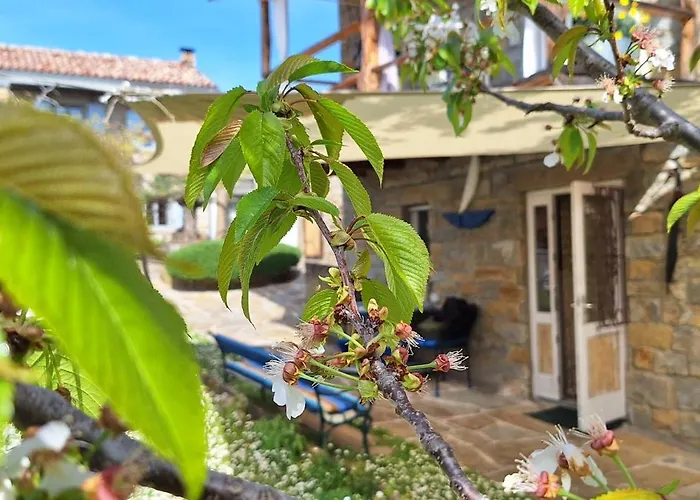 Istrian Stone House Zizola *