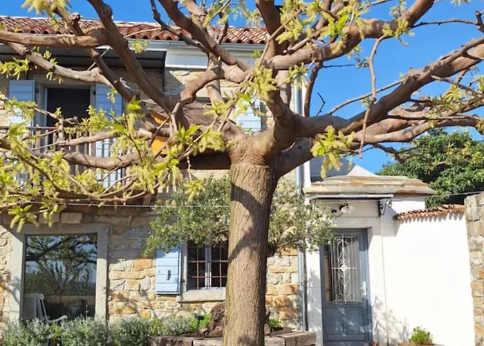 アパート Istrian Stone House Zizola