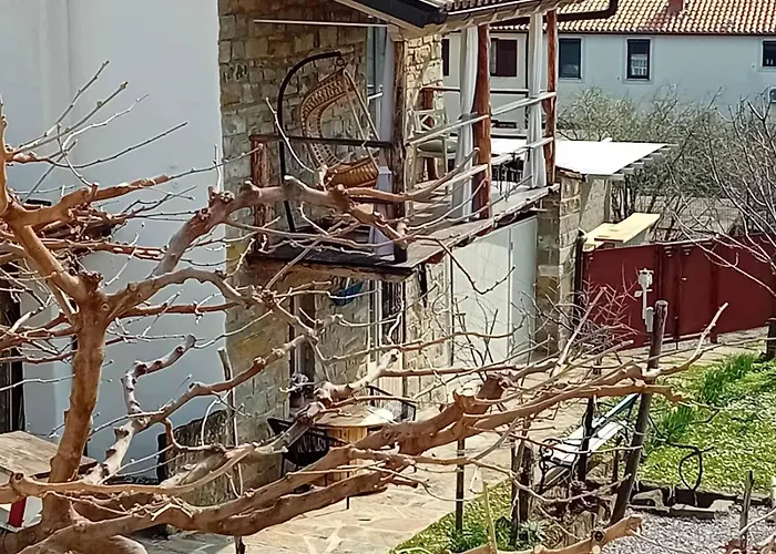 Apartament Istrian Stone House Zizola
